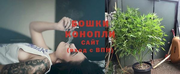 ГАЛЛЮЦИНОГЕННЫЕ ГРИБЫ Балахна