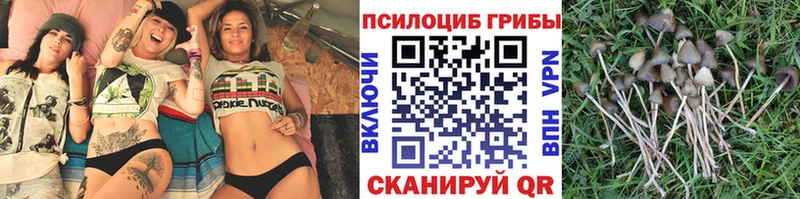 Псилоцибиновые грибы MAGIC MUSHROOMS  Куса 